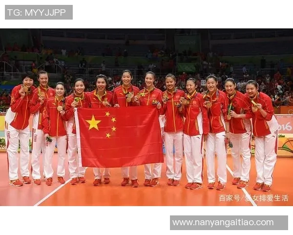 南京排球队的奋斗历程与冠军赛背后的故事揭秘